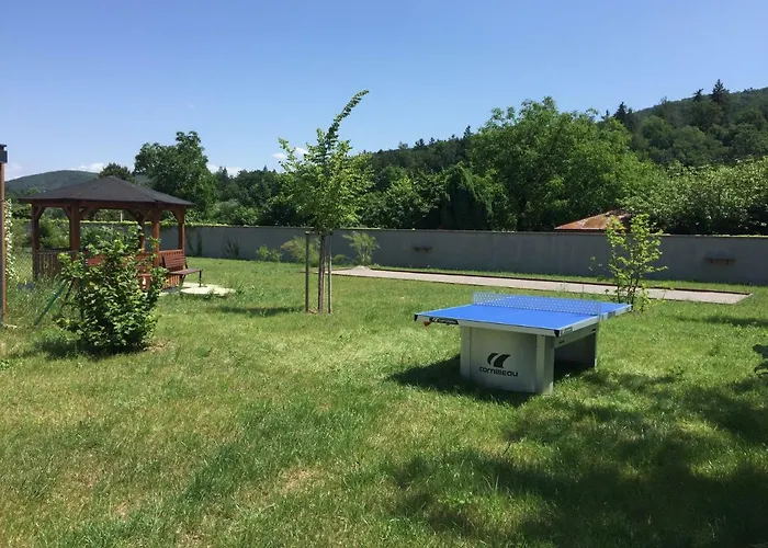 Hotel Panska Zahrada 4*